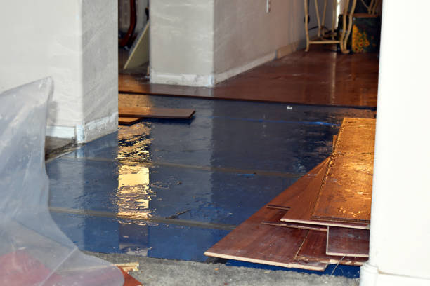 Professional Burst Pipe Cleanup technician working in Brooksville, ME